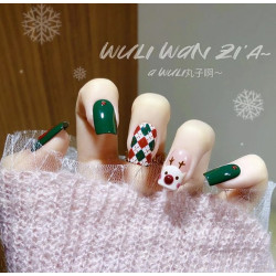 【範例─價格設定特價，大量圖片】聖誕美甲